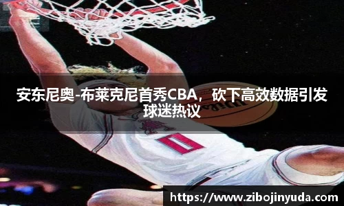 伟德bv国际体育