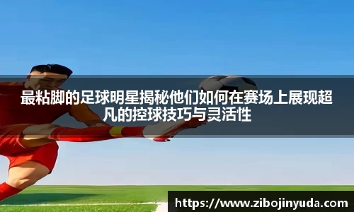 伟德bv国际体育